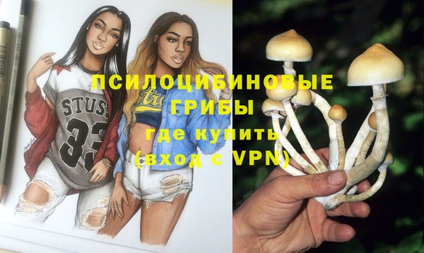 героин Ельня