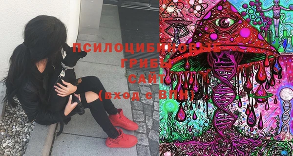 кокаин перу Елабуга
