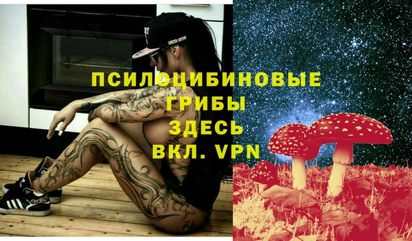 героин Ельня