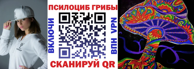 Купить закладки  Уварово  Псилоцибиновые грибы GOLDEN TEACHER 